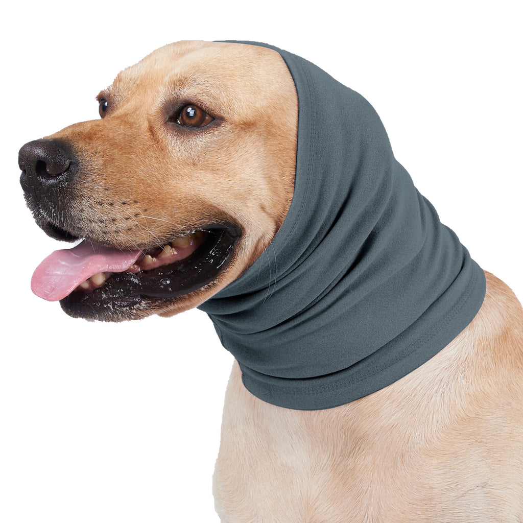 Lapin-fleece chien de chien confort et écharpe chaude