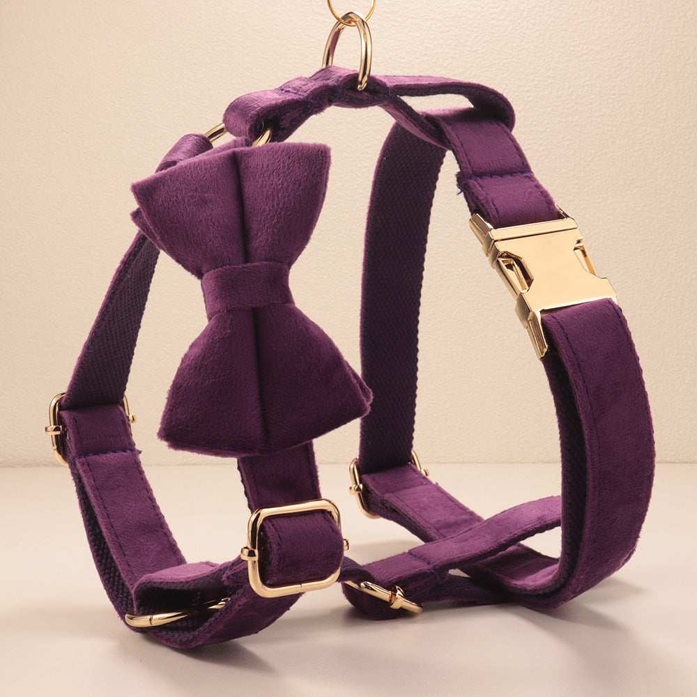 Collier de chien de velours et jeu de tir