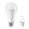 Ampoule d'éclairage de secours de la batterie de charge rapide R70 LED