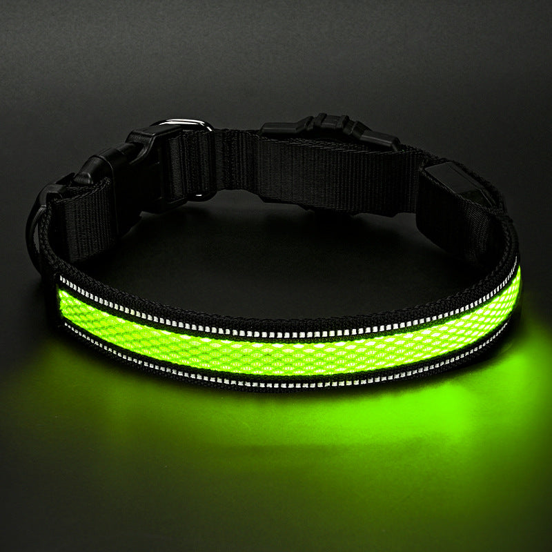 Collier de chien de Glowing imperméable rechargeable