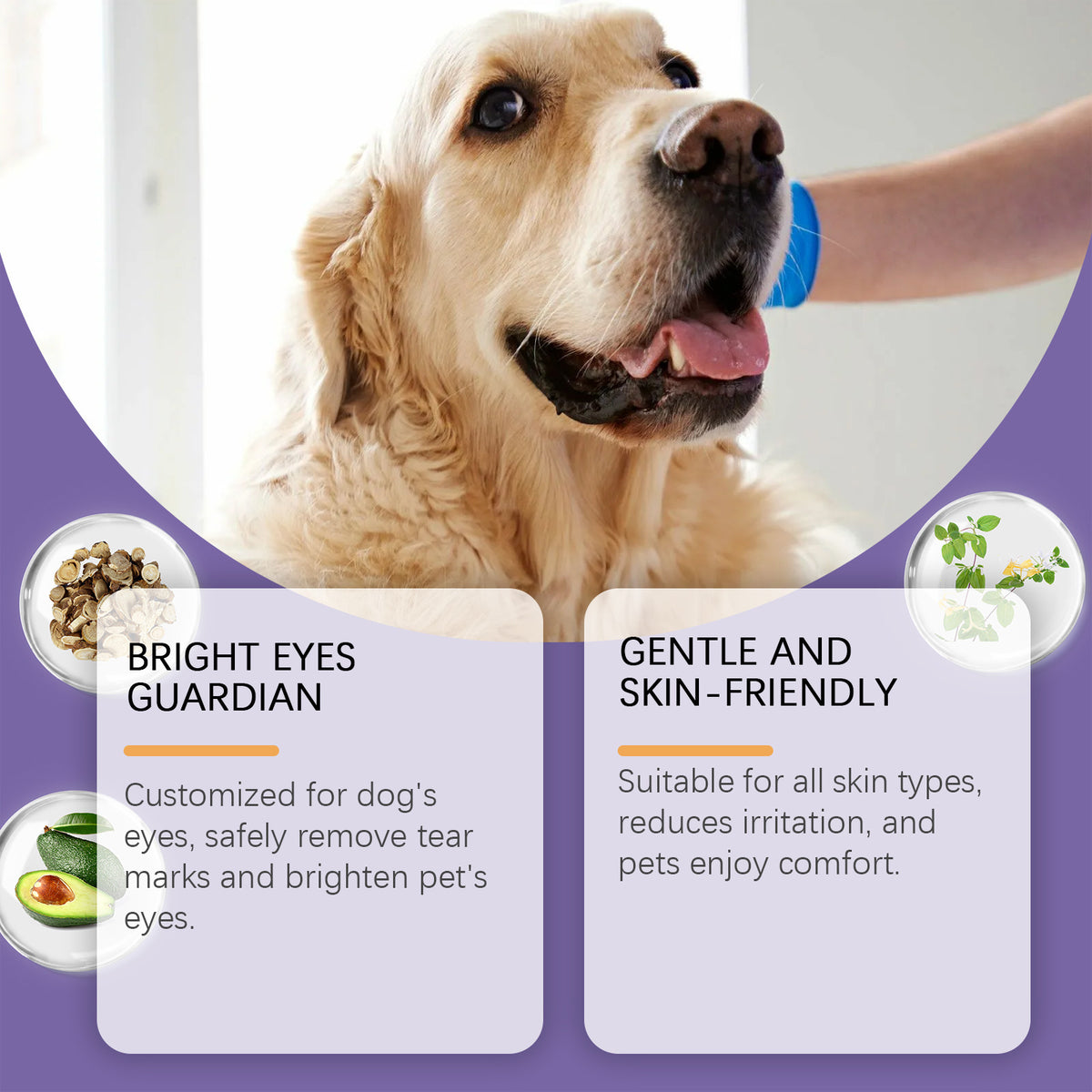 Baume Yegbong pour les yeux des chiens - Nettoyage doux et hydratant pour les yeux des chiens