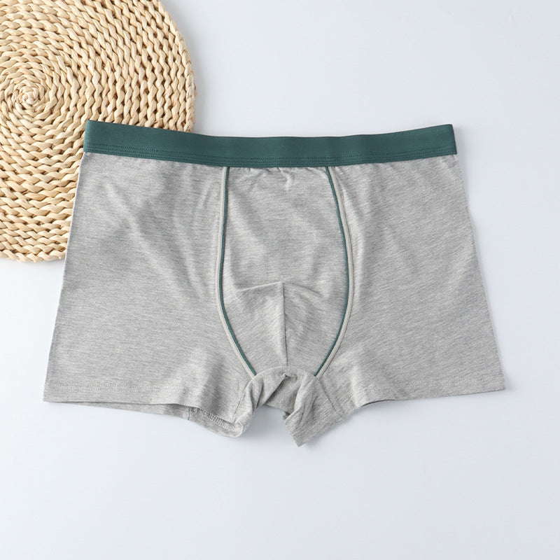 Sous-vêtements Homme Boxer Homme Plus Taille Extra Grand