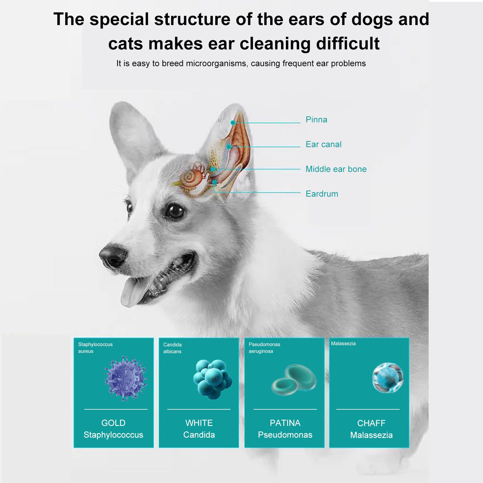 Solution de nettoyage de l'oreille des chats et des chiens