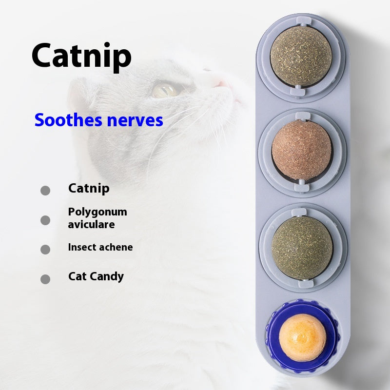 Tasses de jouet de chat Molar Longue durée Pet Supplies