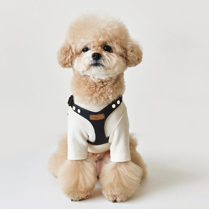 Pet Dog Leash TeddyBichon Harnais extérieur de poitrine et laisse