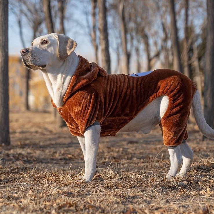 Grand vêtement Année Grand chien de taille moyenne