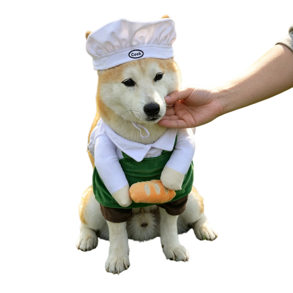 Chien Chef Déguisement Drôle Style Universal Fit