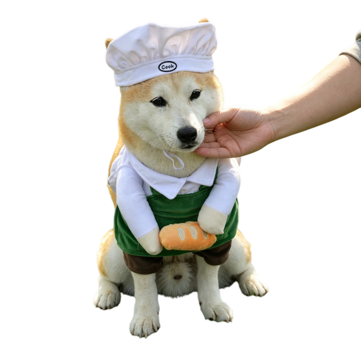 Chien Chef Déguisement Drôle Style Universal Fit