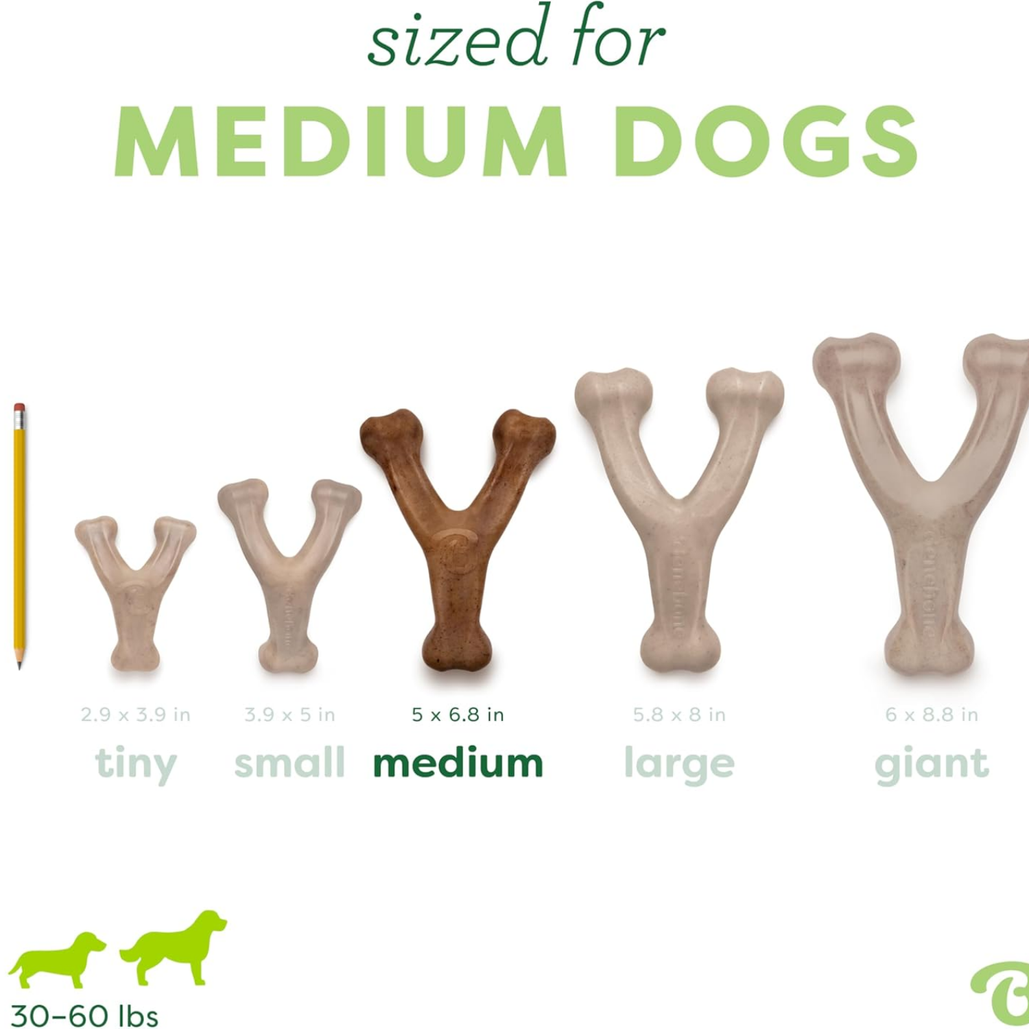 Jouet à croquer pour chien durable Wishbone pour les brochettes agressives