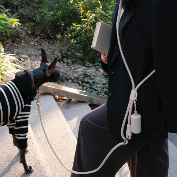 Pet Leash Hands-free Cross-body Waist-worn Multi-fonctionnel