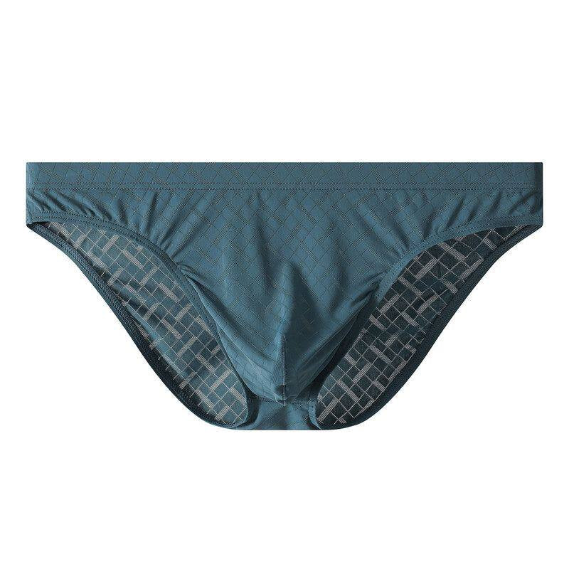 Hommes Silk glacé Transparent slips mince taille basse Sexy