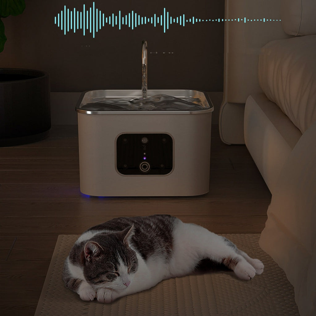 Feeder automatique pour chats animaux