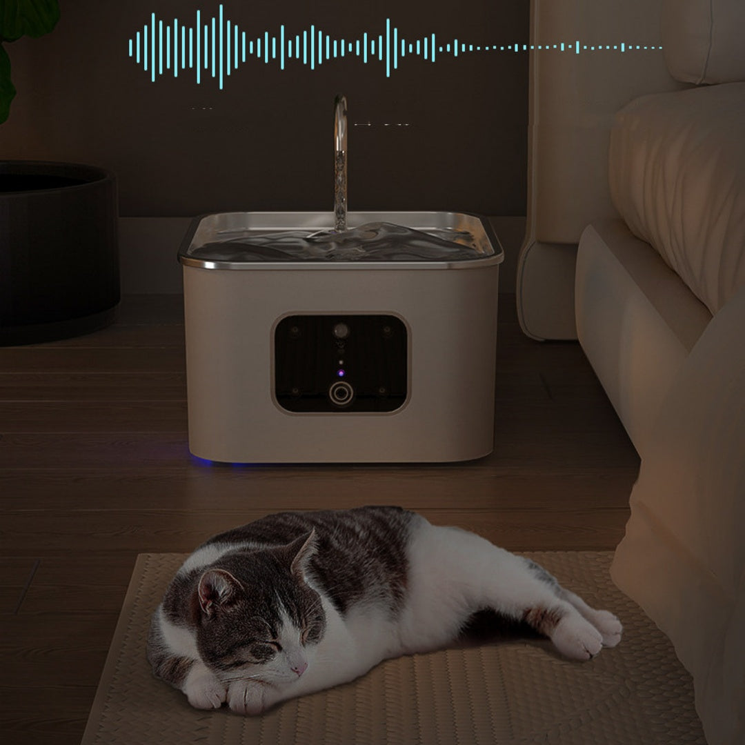 Feeder automatique pour chats animaux