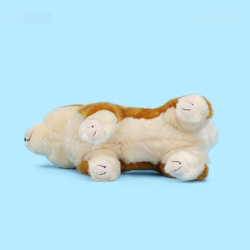 Cadeau d'anniversaire pour enfants Un chien Akita mignon