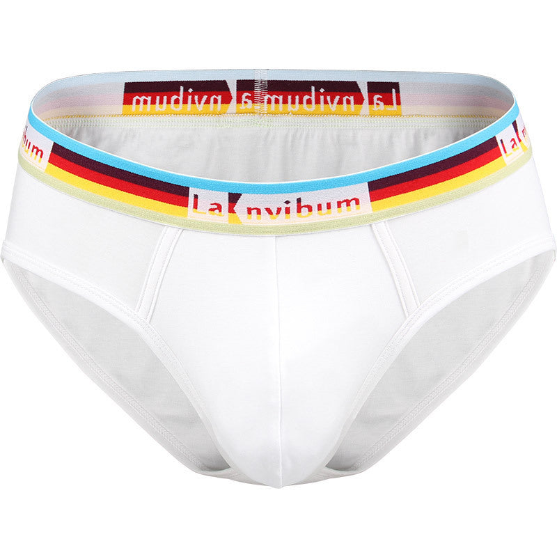 Slips en coton Rainbow Rubber Band