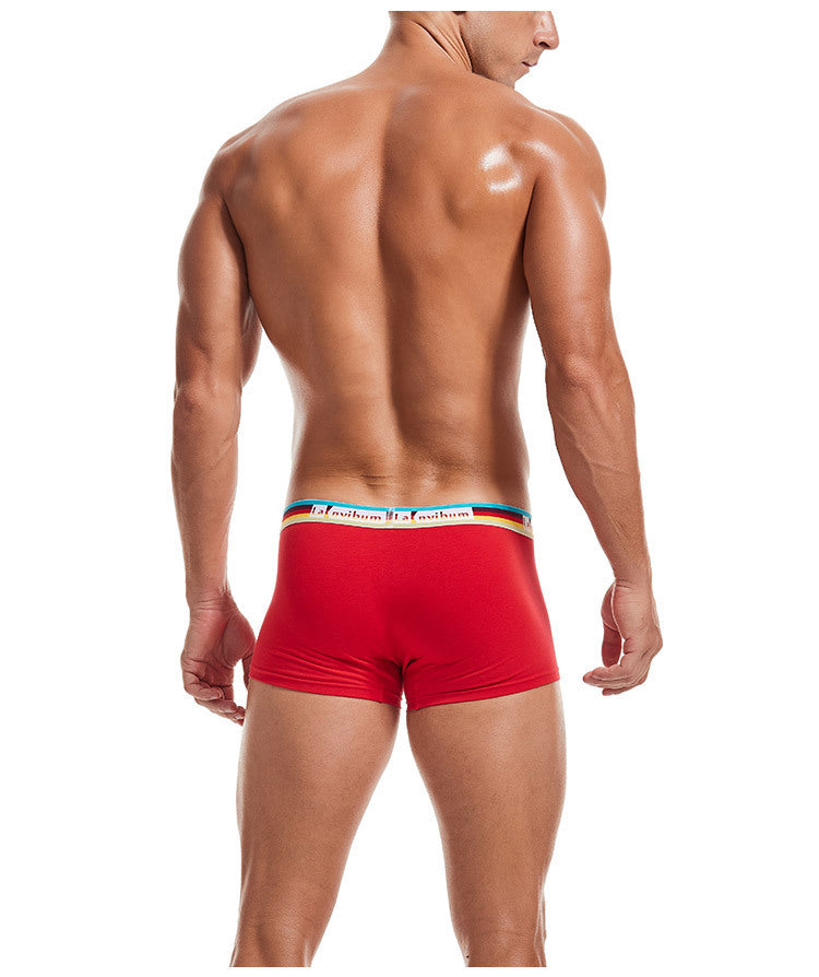 Sous-vêtements pour hommes en coton taille moyenne Rainbow Belt Boxer Short