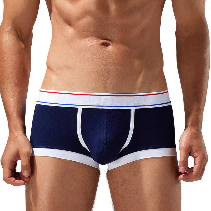 Sous-vêtements Cotton Boxer Youth Low Waist Panties Boxers pour hommes