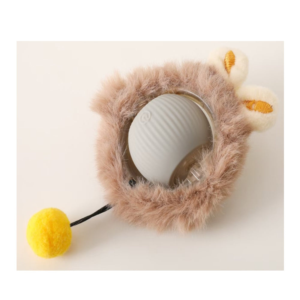 Jouet électrique de boule de chat de chien
