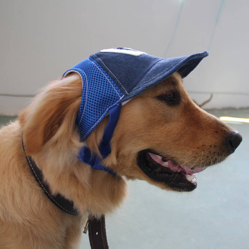 Casquette de baseball respirante pour animaux de compagnie