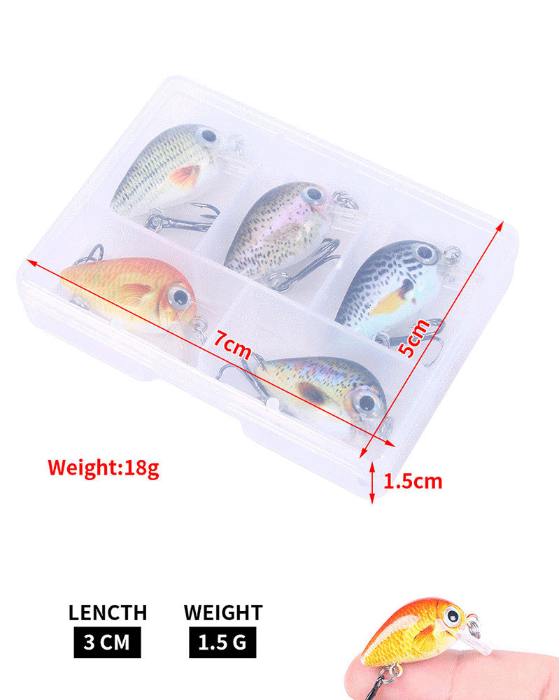 Style Mini Rock Lure de pêche 1,5g Petit ensemble de lure 5 couleurs Lure d'impression en boîte