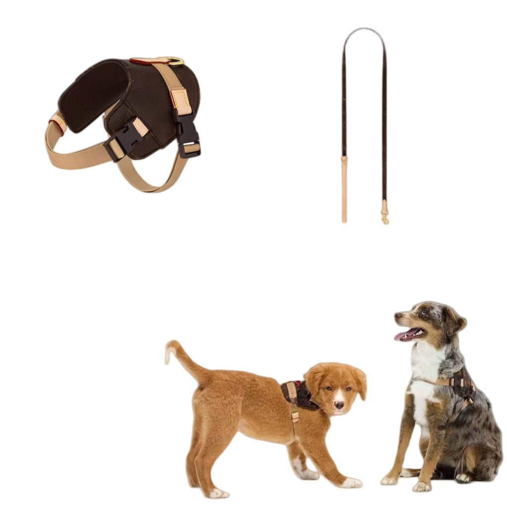 Harnais de mode pour animaux de compagnie de style rue