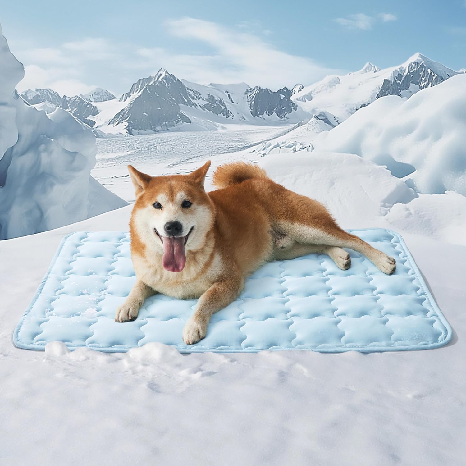 Tapis de glace pour animaux de compagnie lavable à la machine