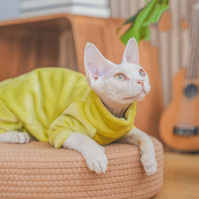 Les vêtements de chat et de chat de Devon sont épais pour l'automne Et l'hiver