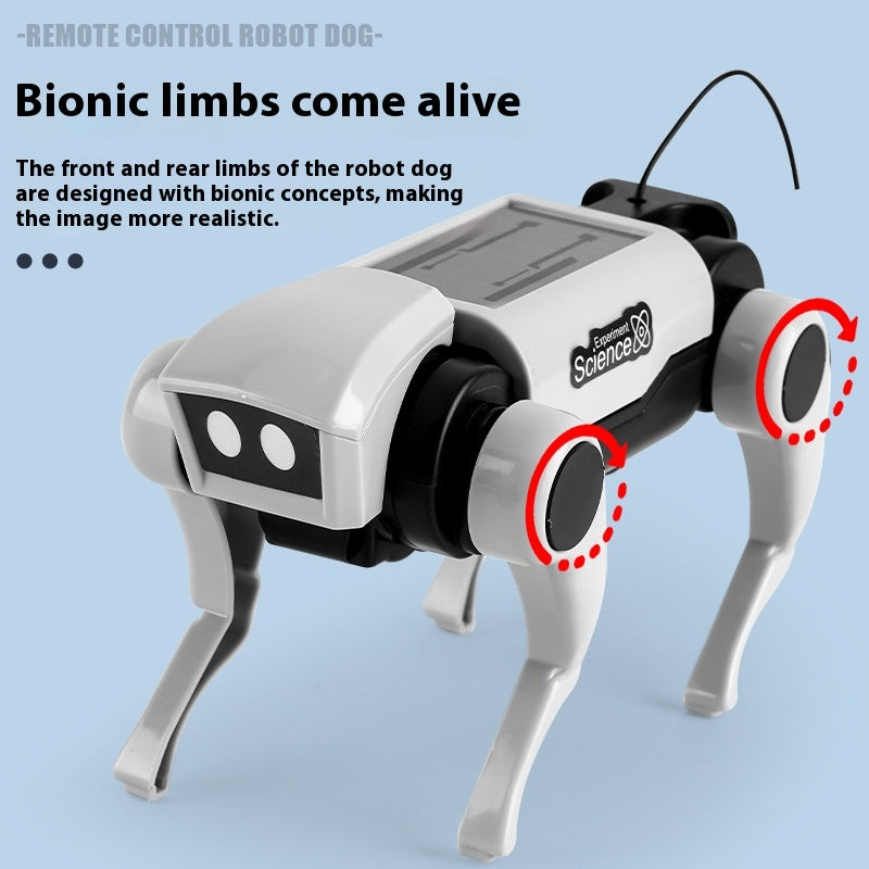 Chien mécanique à télécommande et jouet assemblé Cat 2 In1