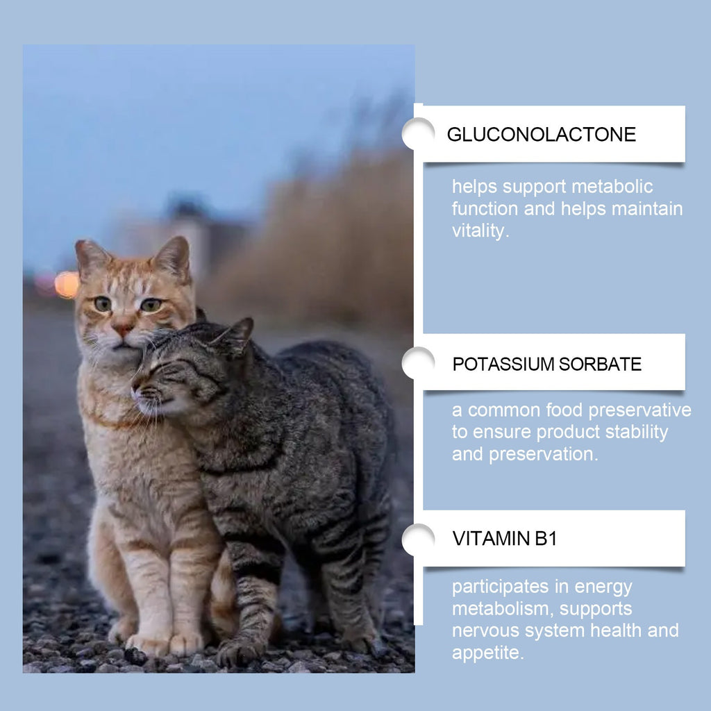 Suppléments de vitamine Yegbong pour chats