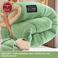 Coral Fleece Hiver Comforter