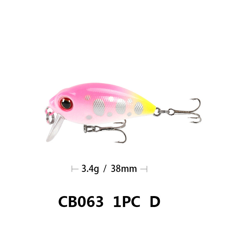 Lure Rock Cocked Bouche Lu Ya Bait Faux bionique
