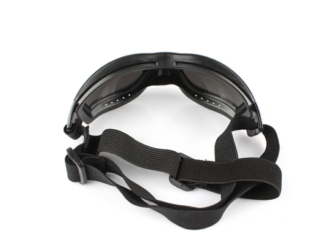 Animaux de compagnie lunettes chien fournitures lunettes imperméables pare-brise solaire UV lunettes de chien
