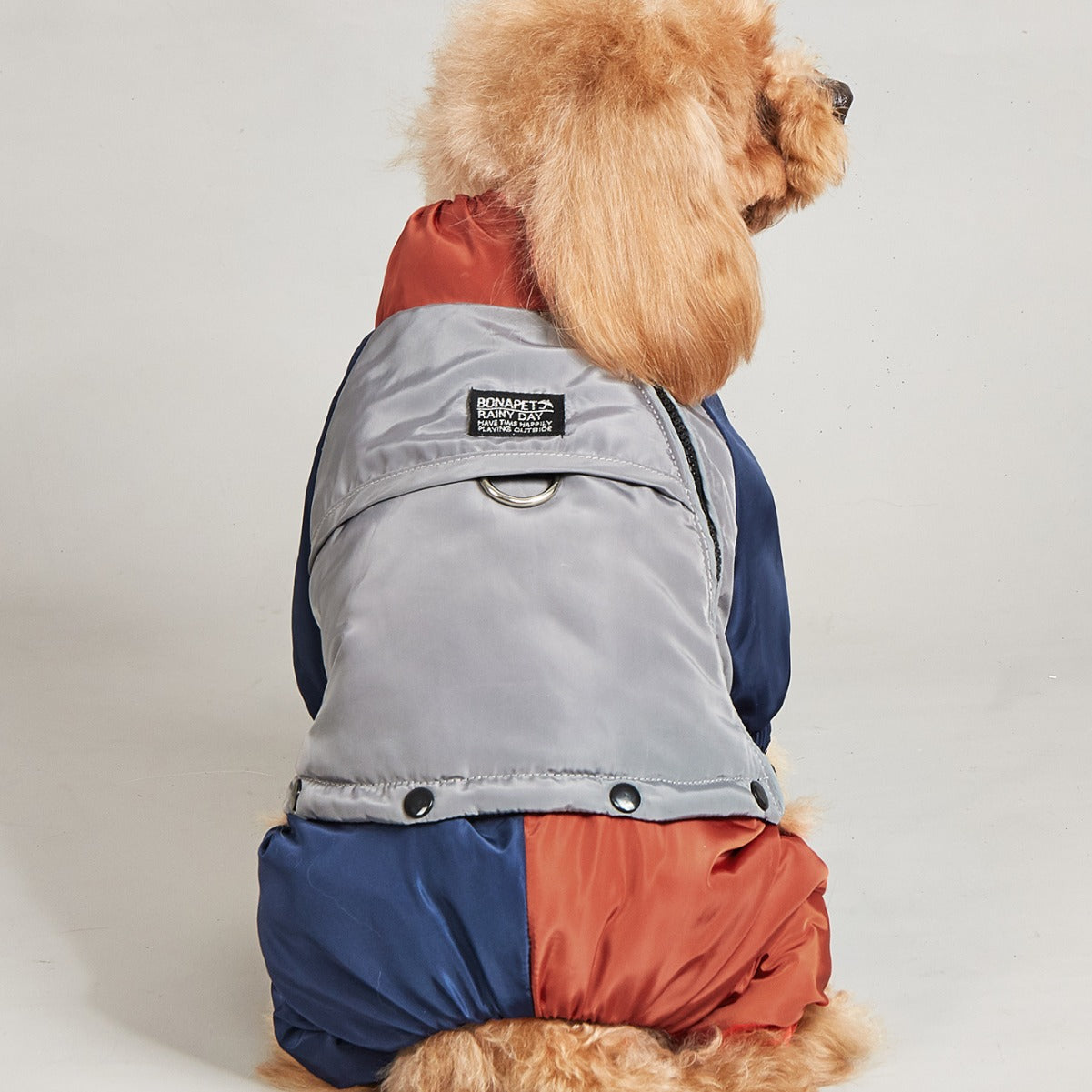 Animaux d'hiver couleur matching coton rembourré vêtements chien moyen grand chien chaud et confortable