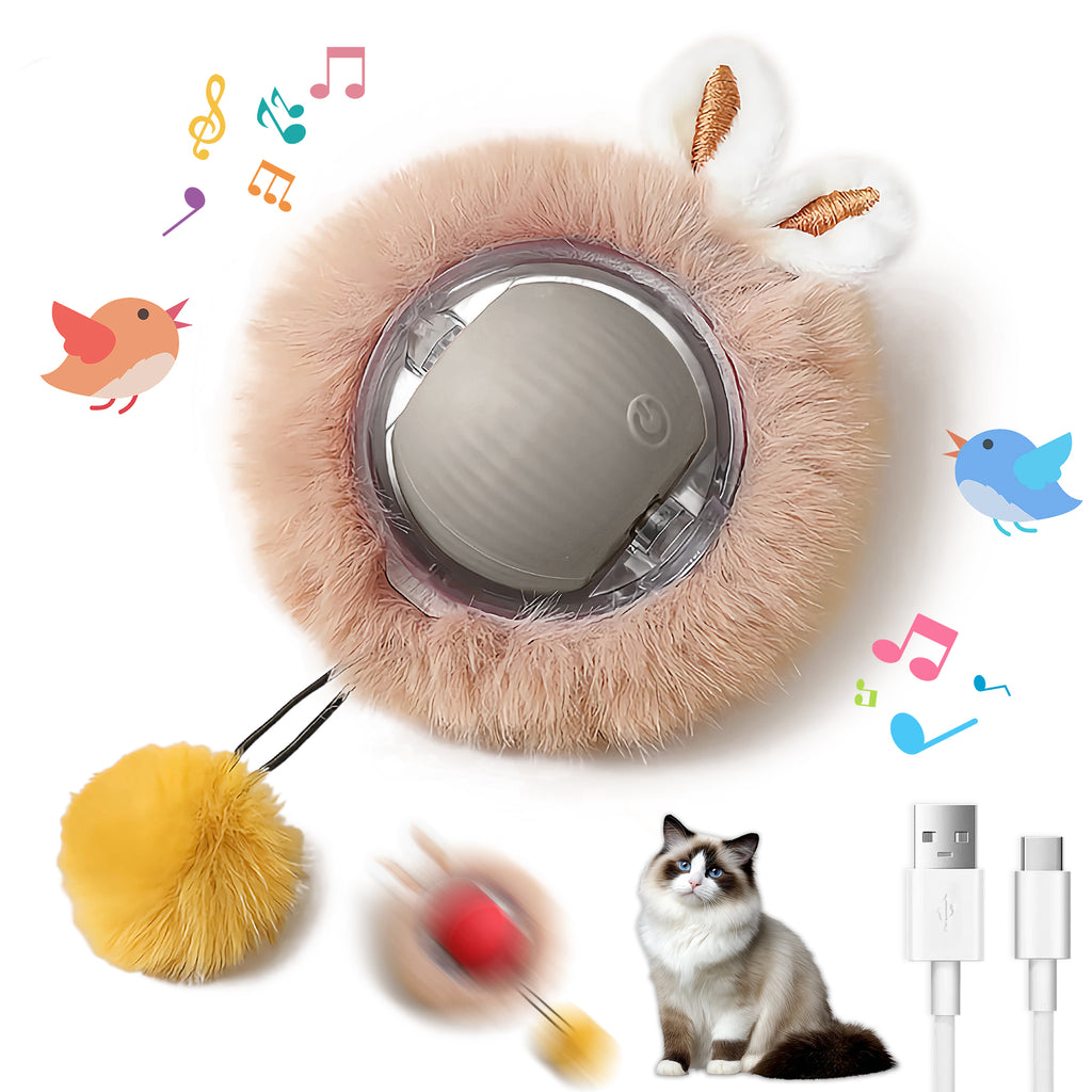 Jouets interactifs Balle pour chats