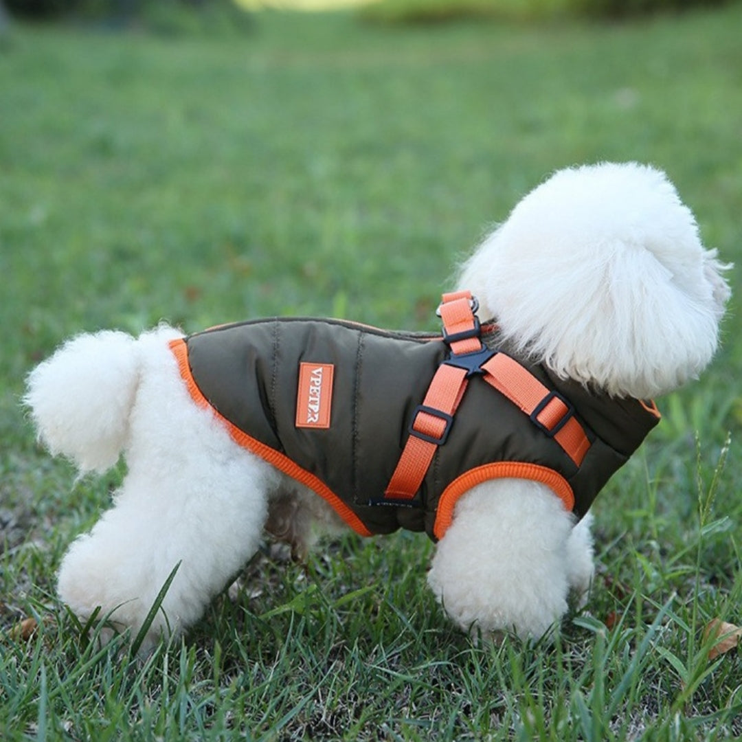 Animaux de compagnie Vêtements d'hiver Plus Velvet épais coton rembourré chien chaud hiver Veste à deux pattes Petit A