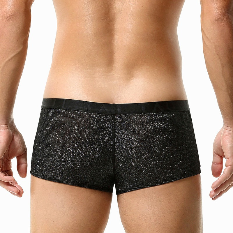 Sous-vêtements pour hommes Low Waist Sexy Mesh U Convex Boxers pour hommes Sous-vêtements pour hommes brillants