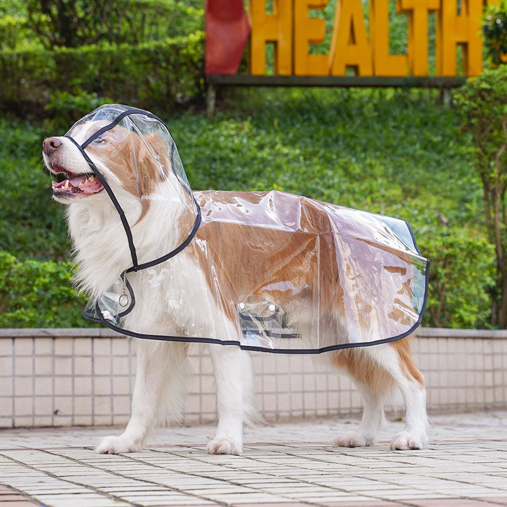 Transparent imperméable pour petits chiens moyens Vêtements imperméables pour animaux de compagnie avec veste de pluie à capuchon