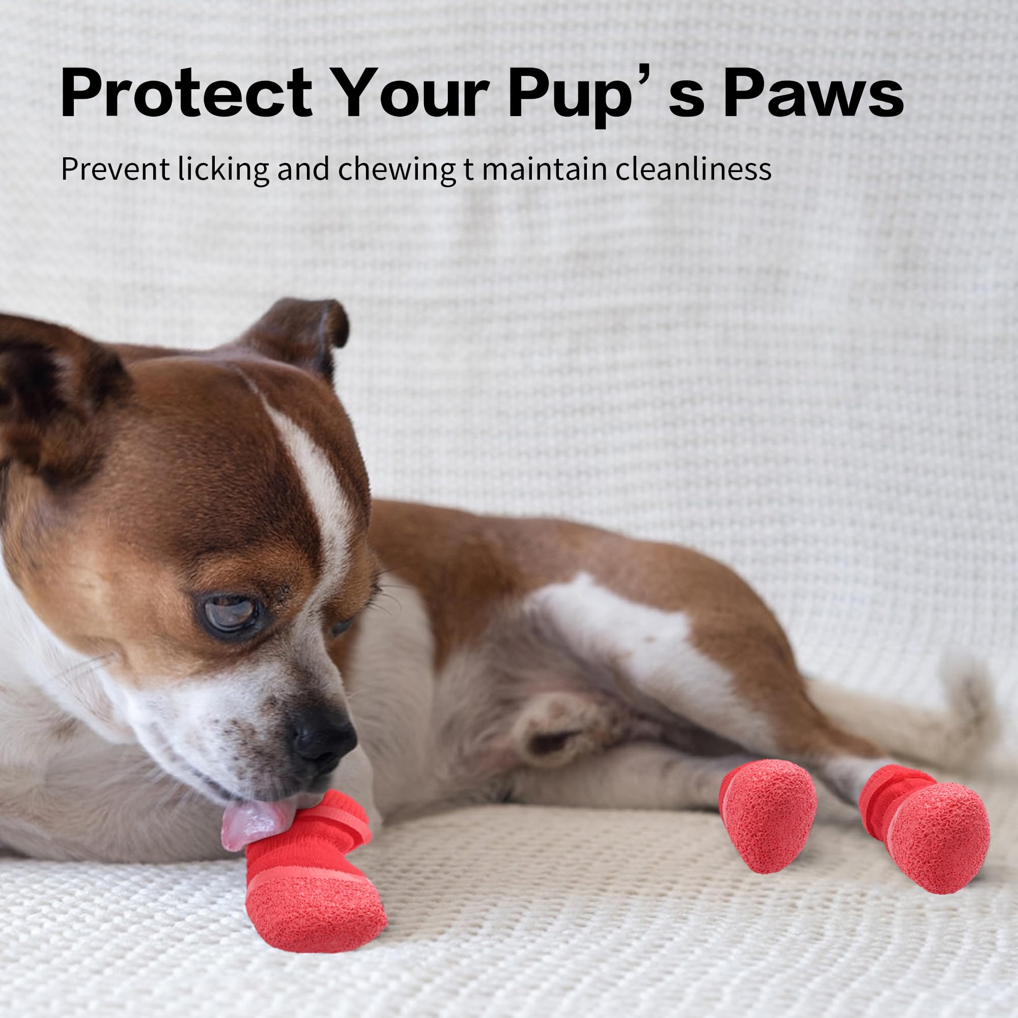 Chaussettes antidérapantes pour chiens pour planchers de bois franc pour empêcher les pattes de colle