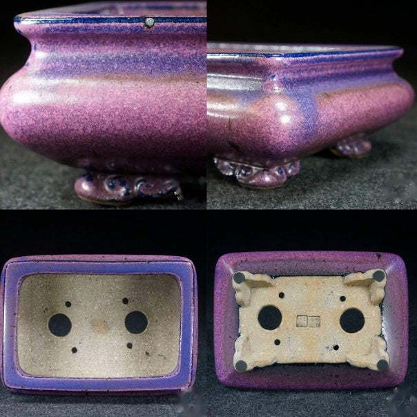Pot à fleurs pourpre rectangulaire