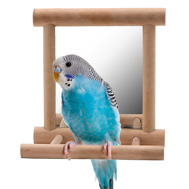 Porte-oiseau avec miroir