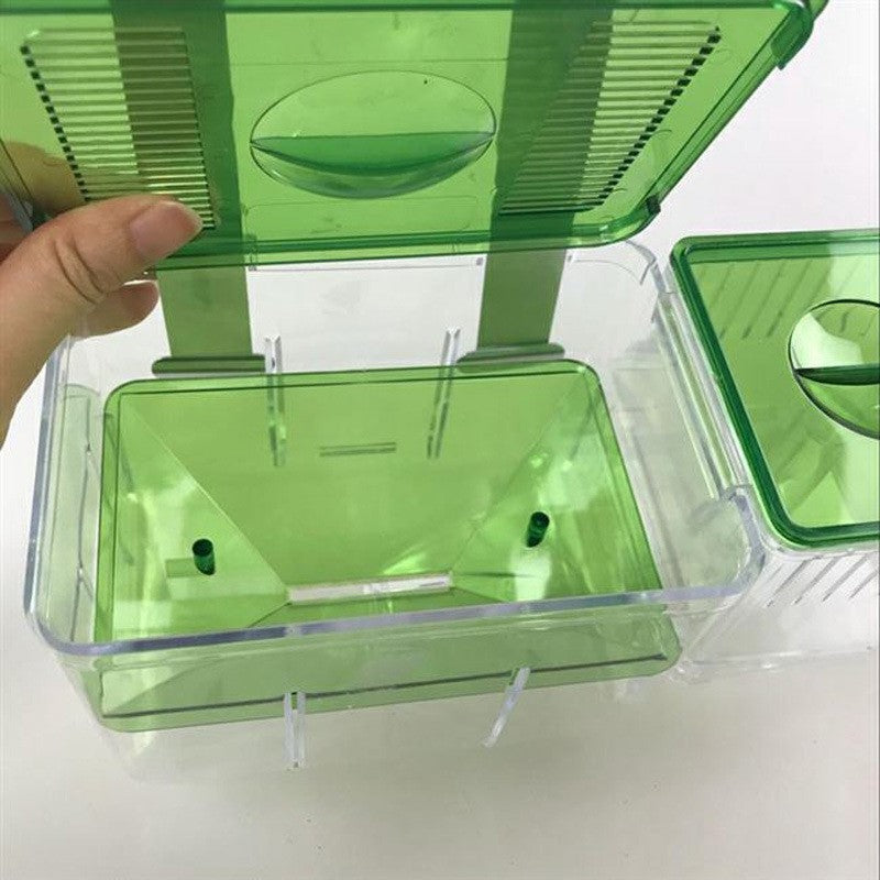 Boîte d'éclosion guppy malade boîte d'isolement de poisson combat poissons