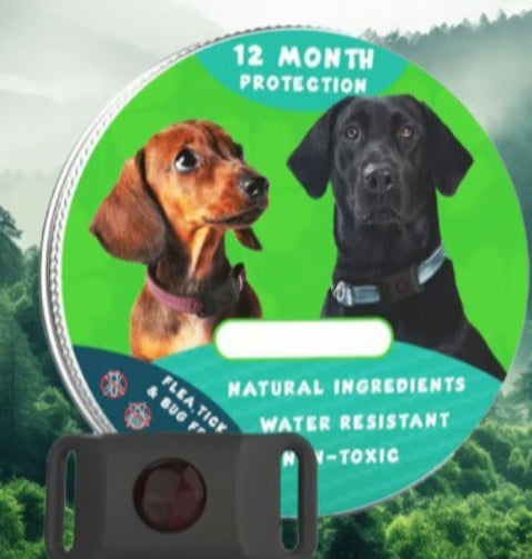 Flea Collar Pet Supplies pour éliminer les puces sur les chiens et les chats