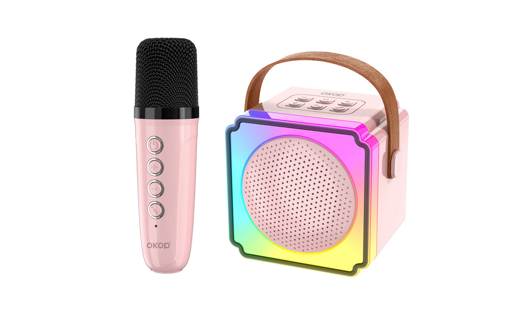 Haut-parleur Bluetooth portable KP-K02 le mieux vendu avec micro-phone Karaoke sans fil