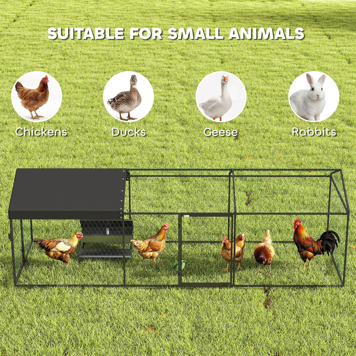 Coop de poulet en métal