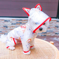 Transparent imperméable Rainbow Dog Raincoat
