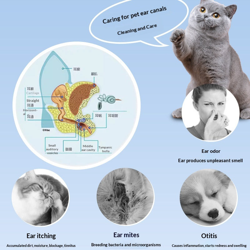 Nettoyant les oreilles des animaux de compagnie