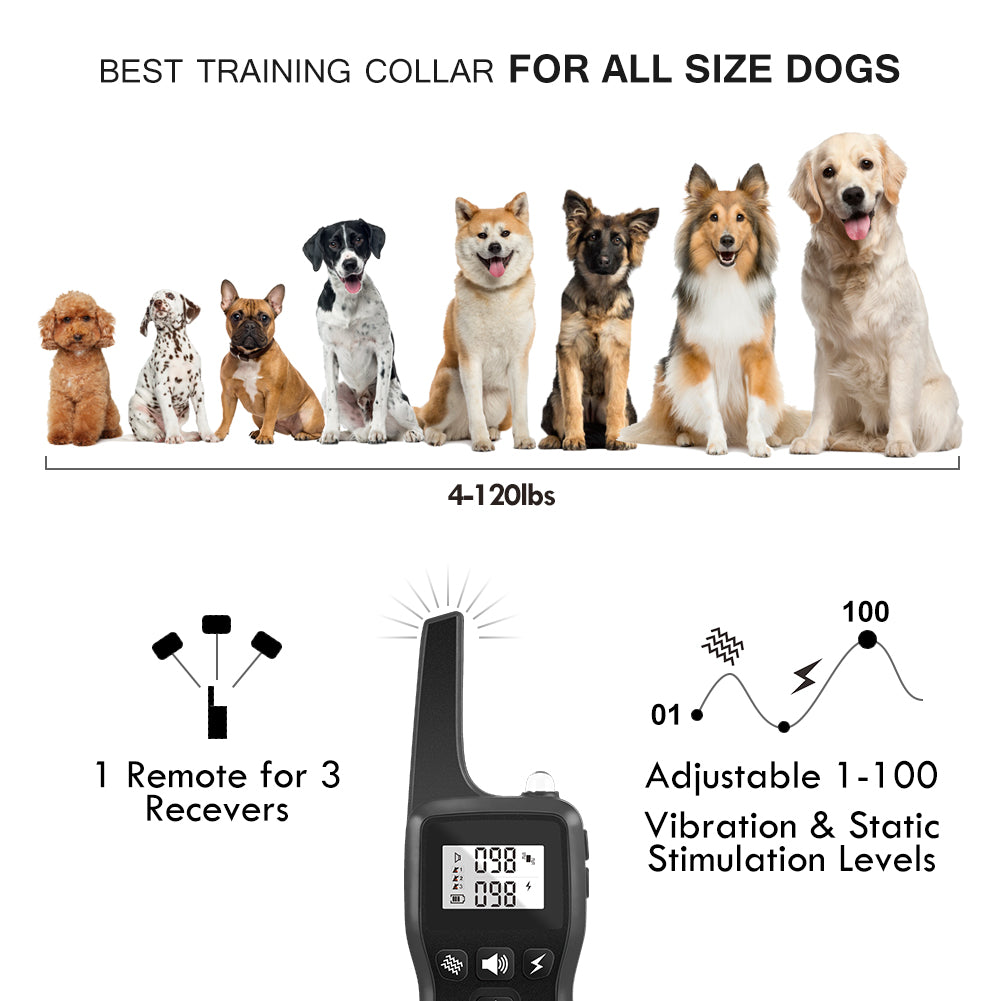 Télécommande Pet Trainer -dog