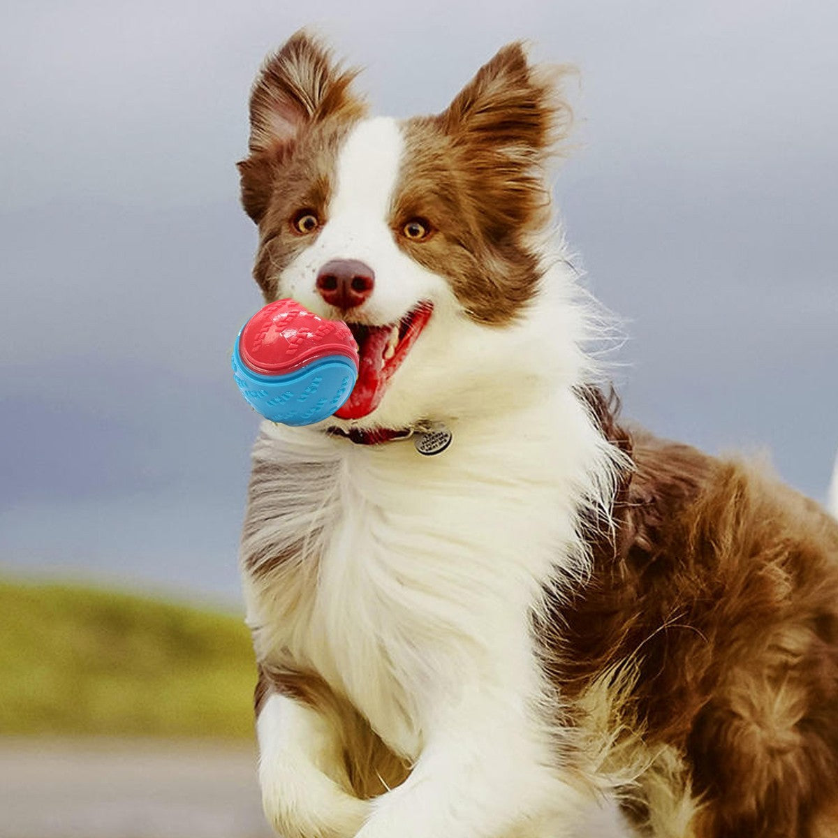 8X Scooby-Doo Squeaky Durable Set boules de chien pour le nettoyage des dents interactif