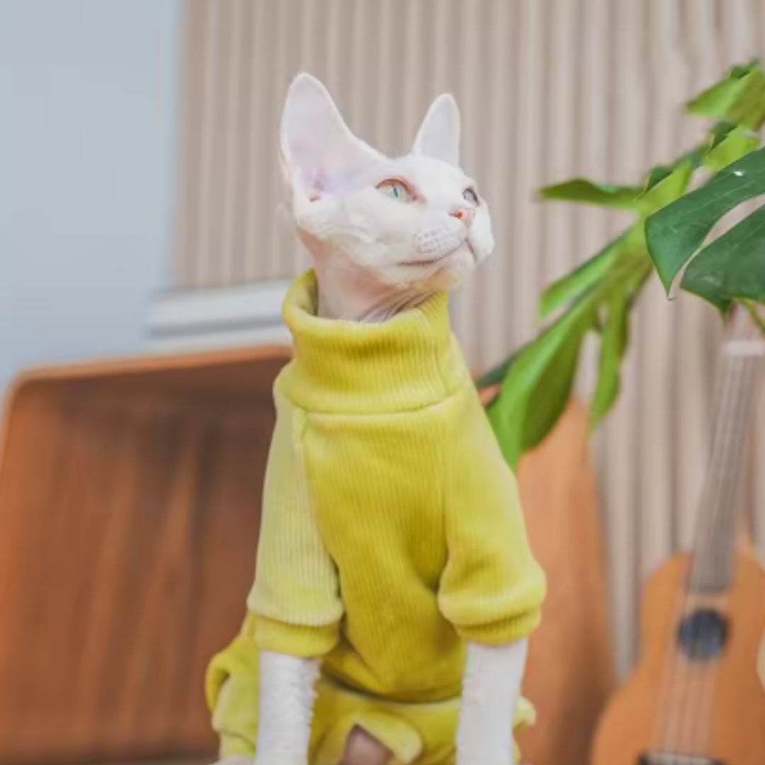 Habillements de chat sans poils recouverts de polaire
