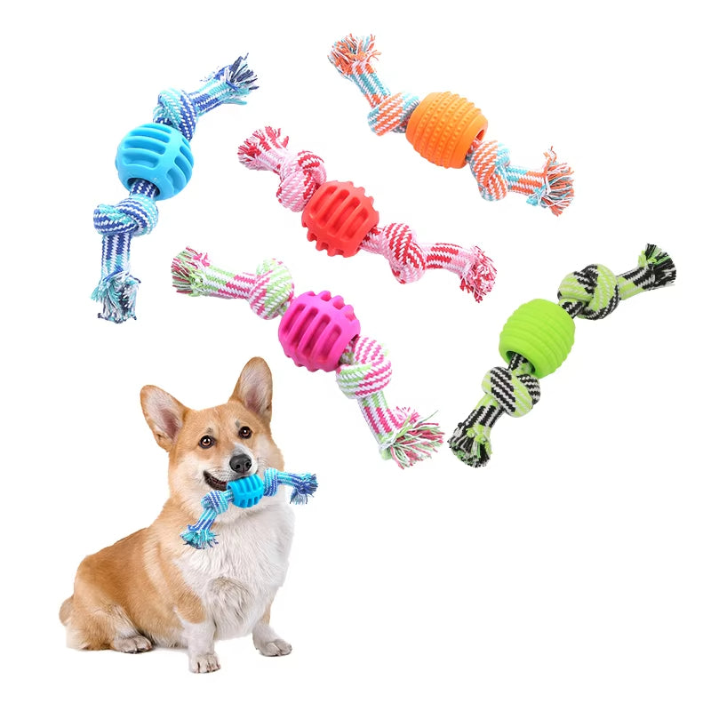 Jouet de chien de chien Corde de coton Double noeud boule résistant à la morsure de dents Toy de nettoyage de balle Pet Suppli